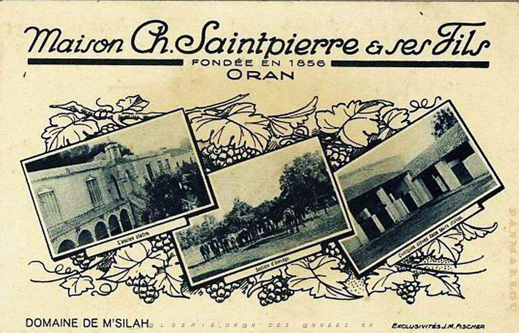 Oran Pub vins 061.jpg